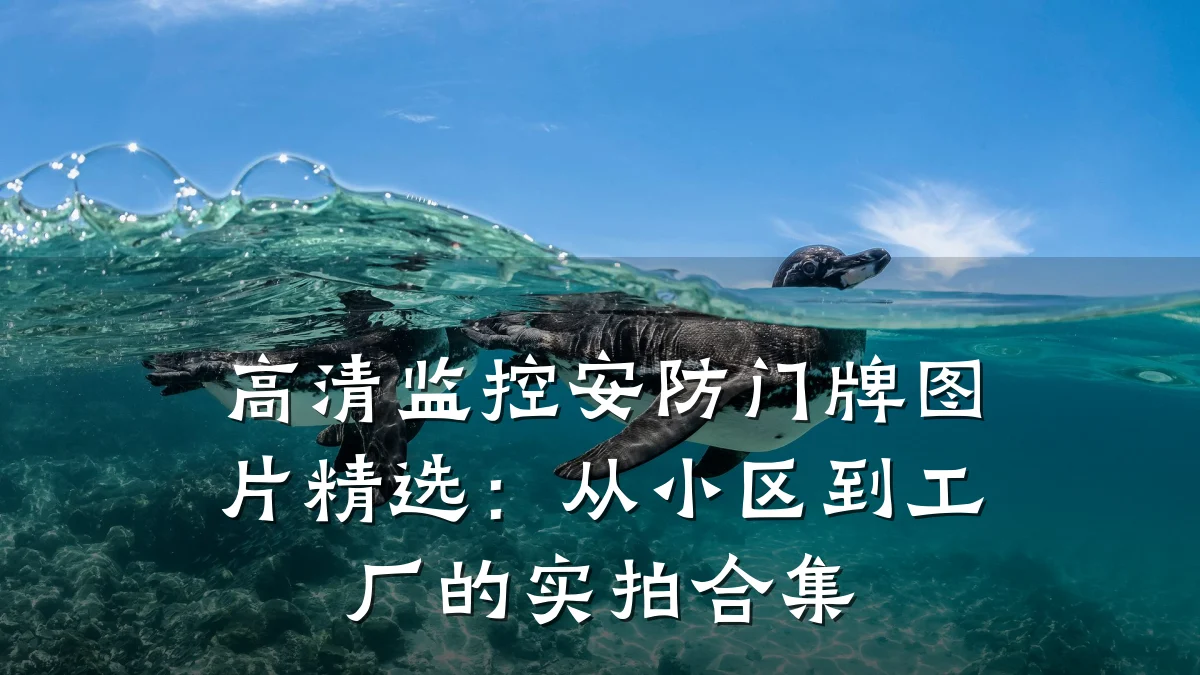 高清监控安防门牌图片精选:从小区到工厂的实拍合集