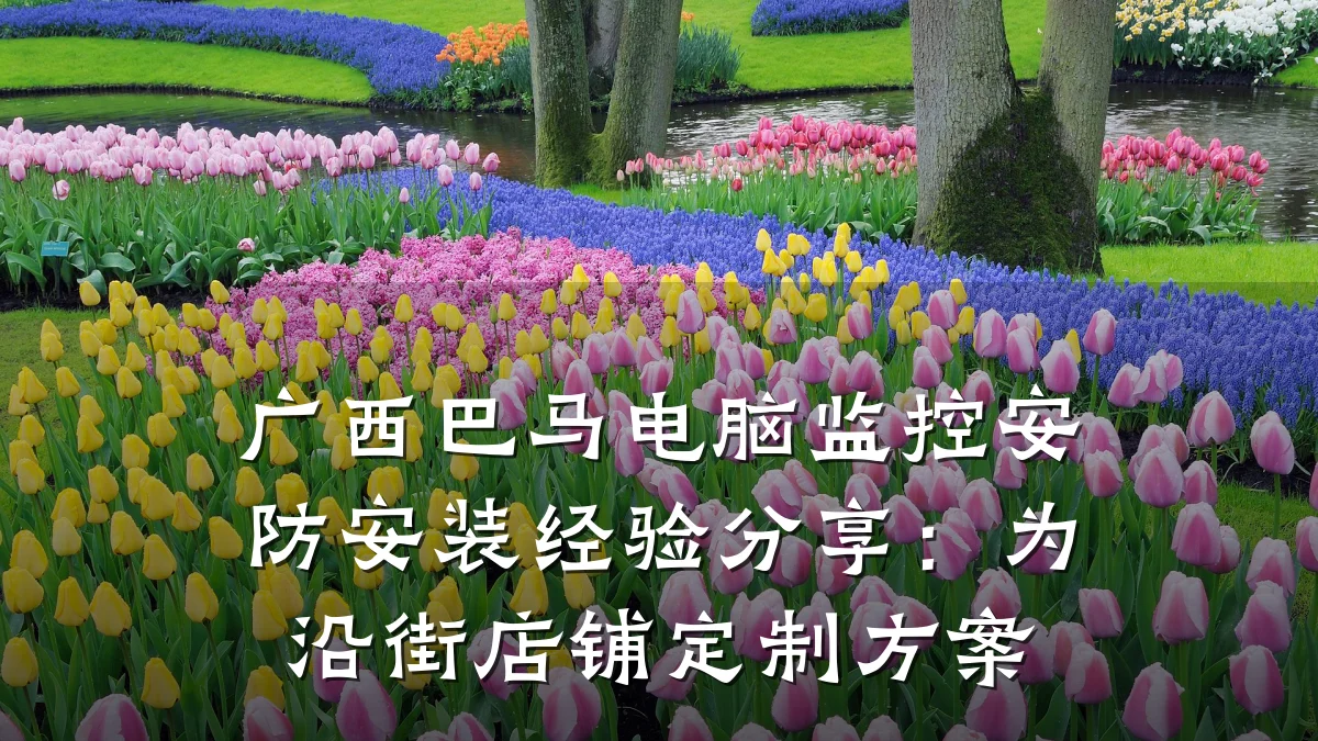 广西巴马电脑监控安防安装经验分享:为沿街店铺定制方案
