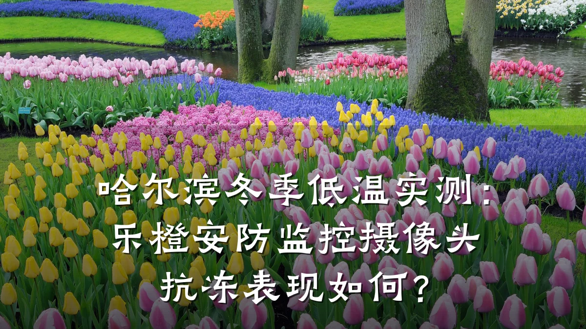 哈尔滨冬季低温实测:乐橙安防监控摄像头抗冻表现如何?