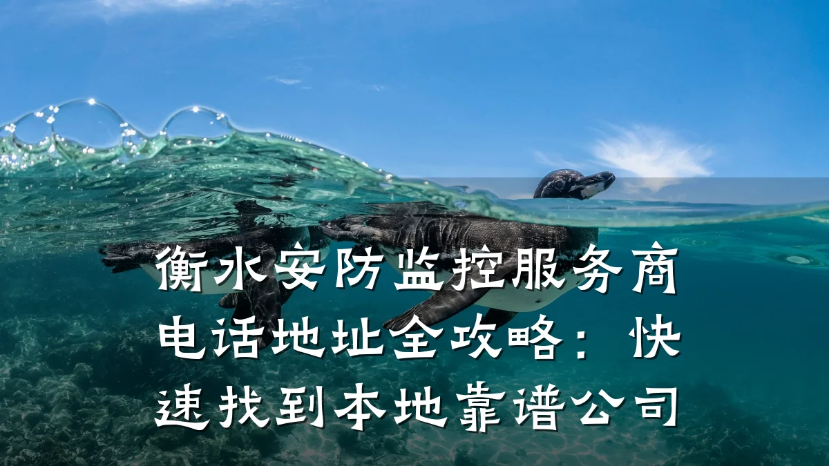 衡水安防监控服务商电话地址全攻略:快速找到本地靠谱公司