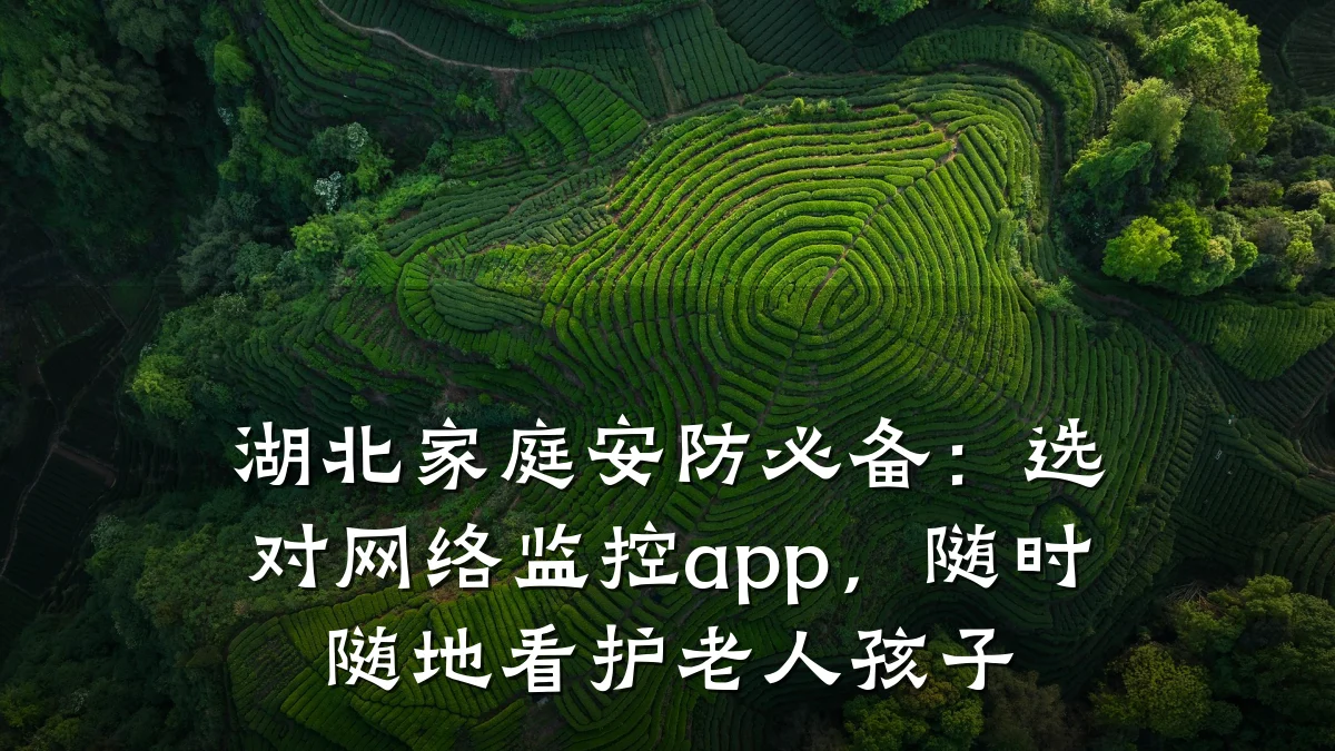 湖北家庭安防必备:选对网络监控app,随时随地看护老人孩子