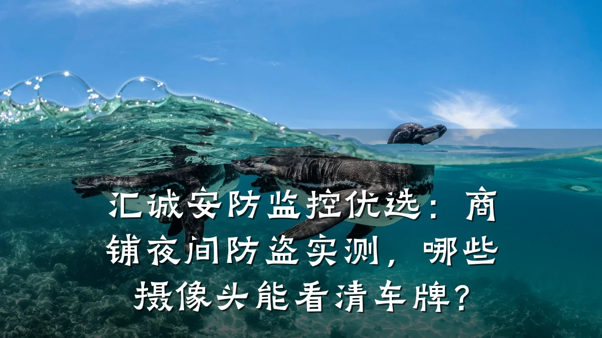 汇诚安防监控优选:商铺夜间防盗实测,哪些摄像头能看清车牌?