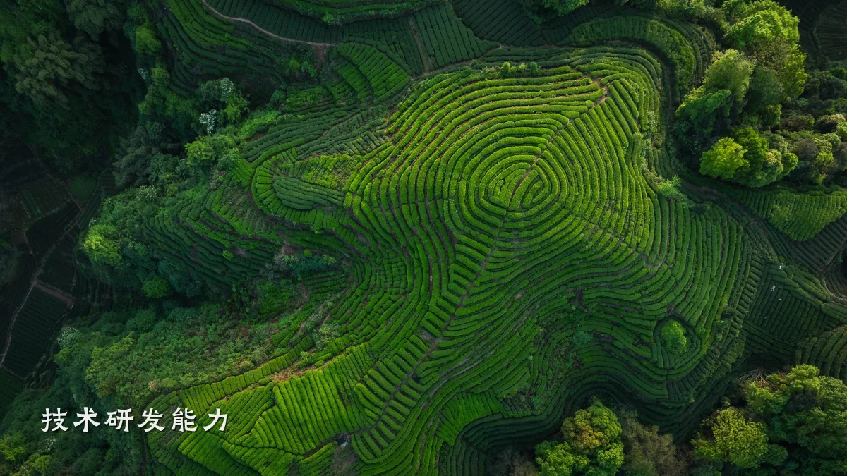 技术研发能力