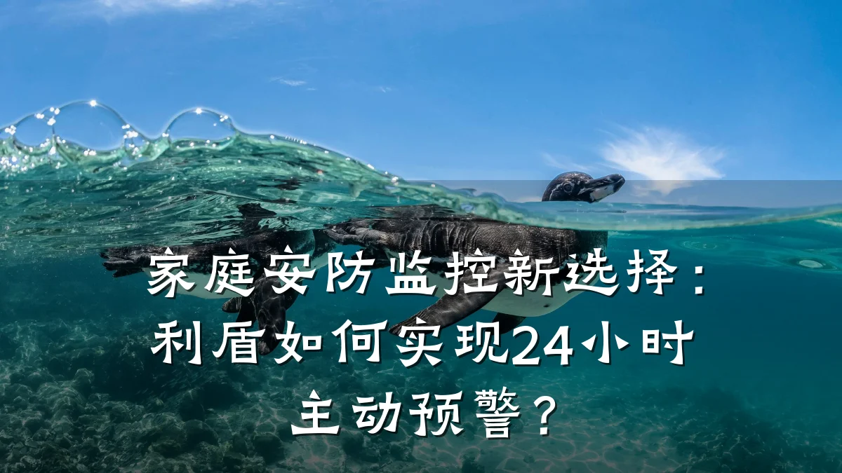 家庭安防监控新选择:利盾如何实现24小时主动预警?