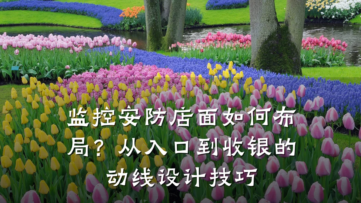监控安防店面如何布局？从入口到收银的动线设计技巧