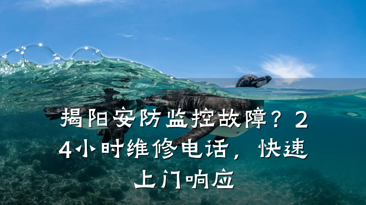 揭阳安防监控故障?24小时维修电话,快速上门响应