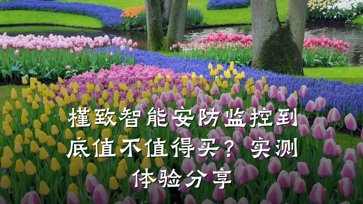 槿致智能安防监控到底值不值得买?实测体验分享