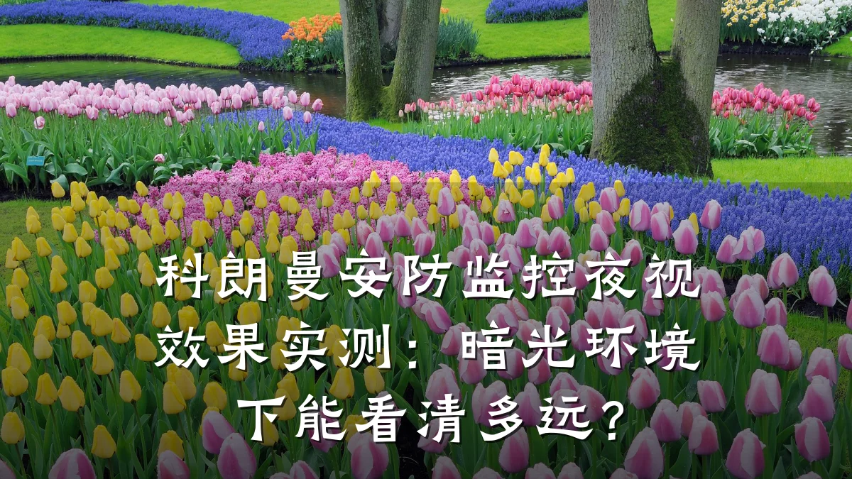 科朗曼安防监控夜视效果实测:暗光环境下能看清多远?