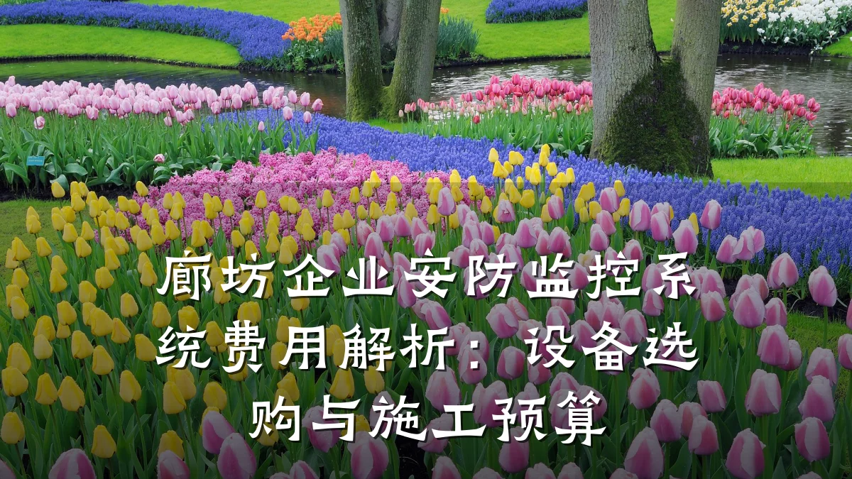 廊坊企业安防监控系统费用解析:设备选购与施工预算