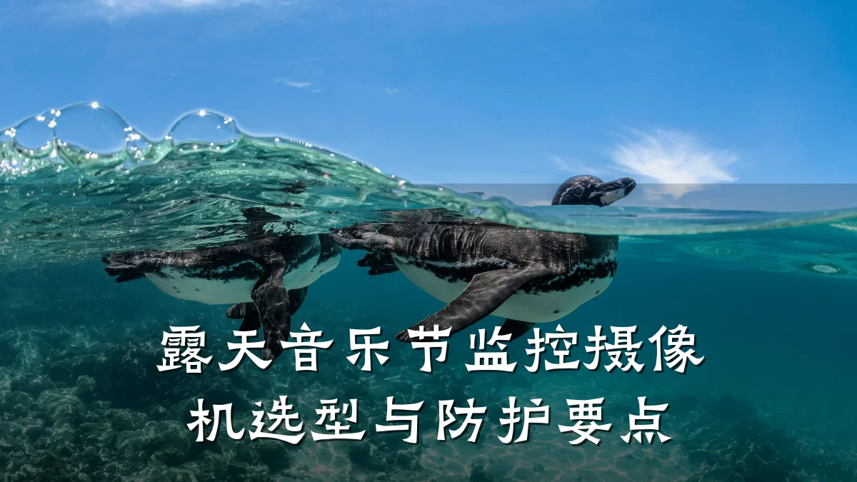 露天音乐节监控摄像机选型与防护要点