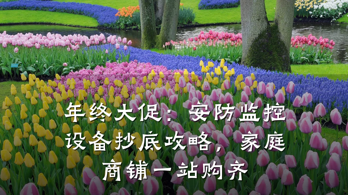年终大促:安防监控设备抄底攻略,家庭商铺一站购齐
