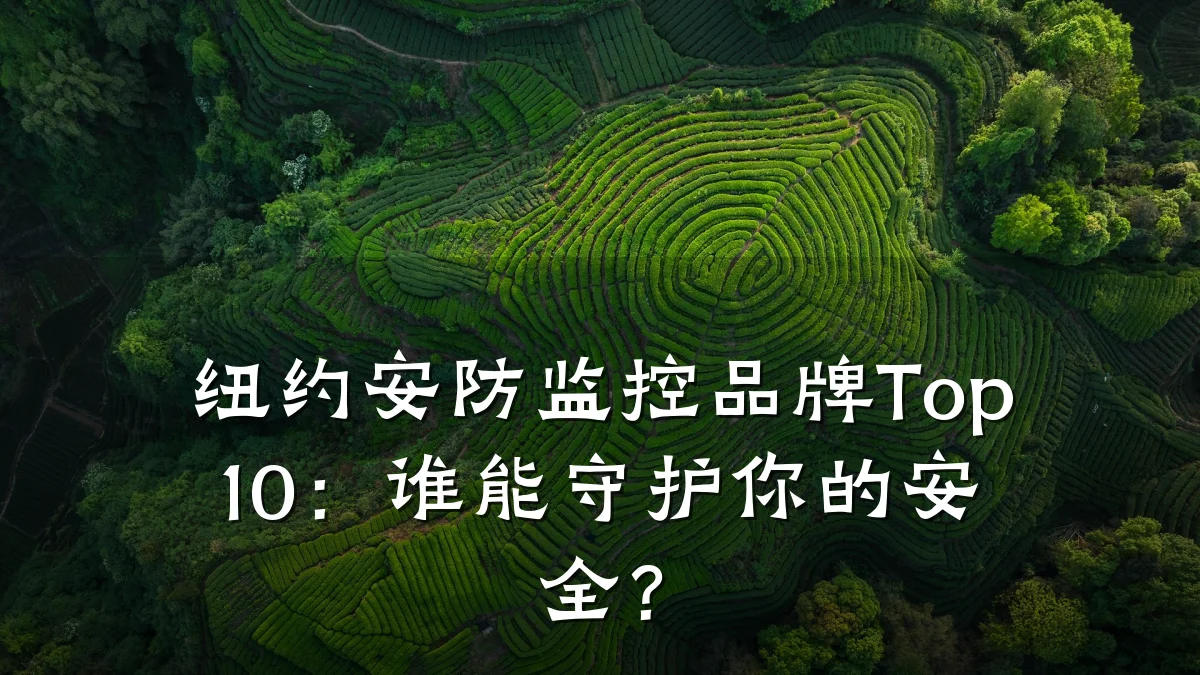 纽约安防监控品牌Top10:谁能守护你的安全?