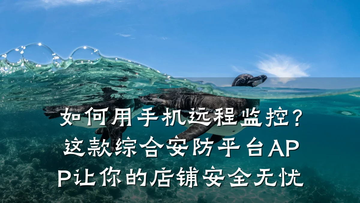 如何用手机远程监控?这款综合安防平台APP让你的店铺安全无忧