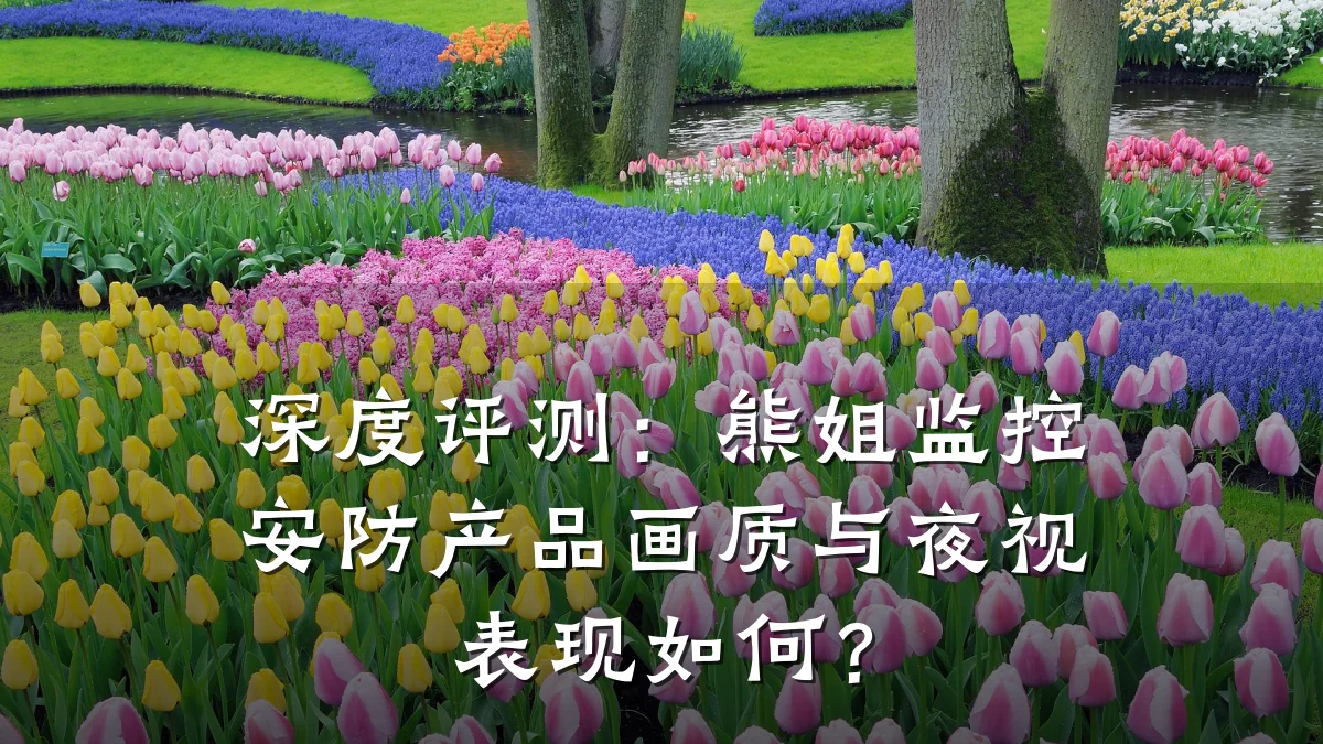 深度评测:熊姐监控安防产品画质与夜视表现如何?