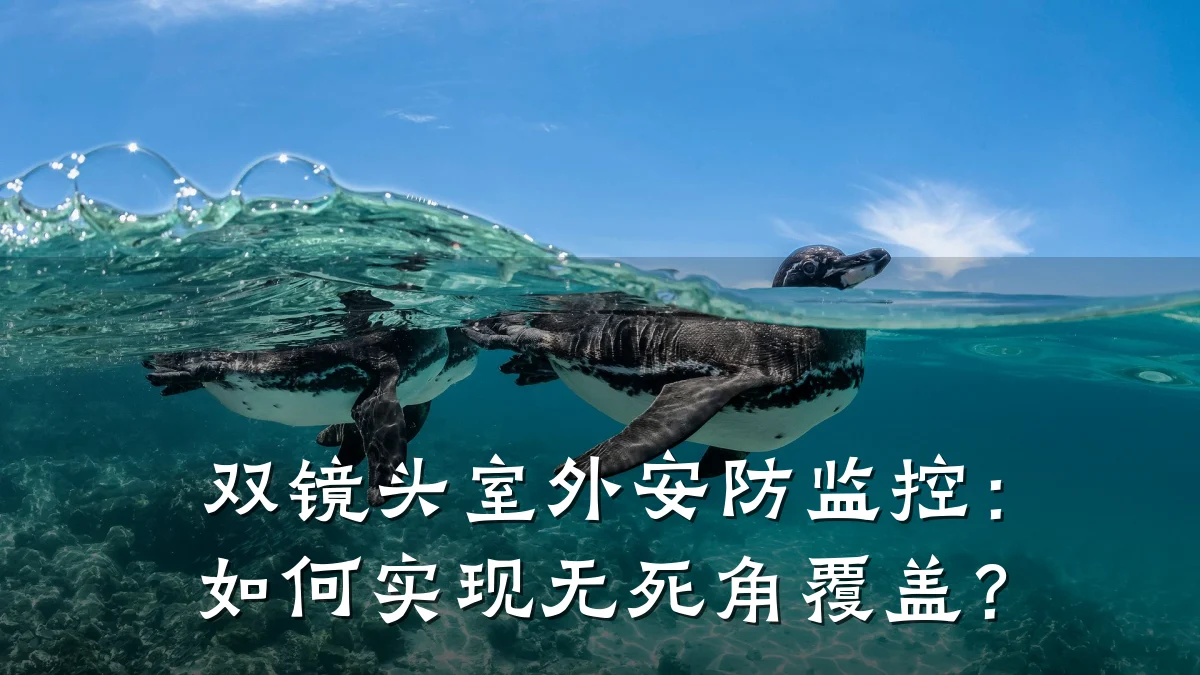 双镜头室外安防监控:如何实现无死角覆盖?