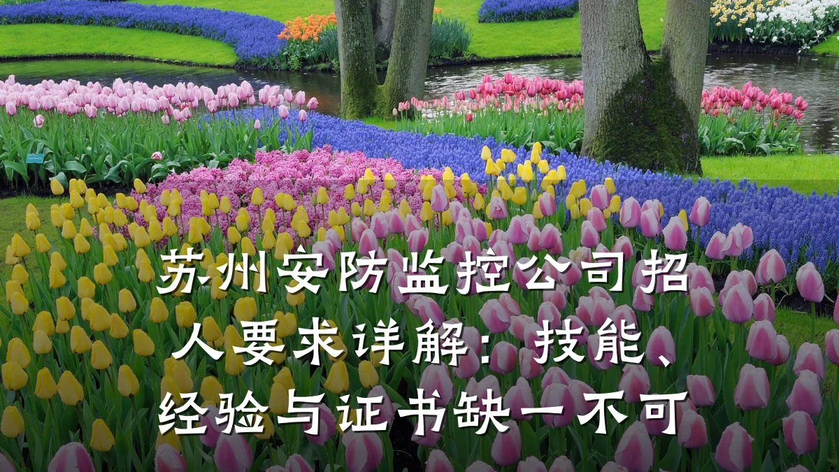 苏州安防监控公司招人要求详解:技能、经验与证书缺一不可