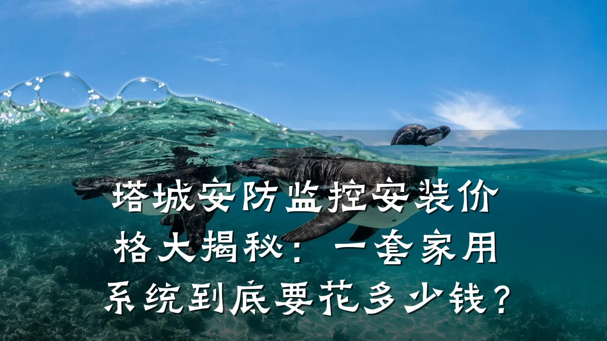 塔城安防监控安装价格大揭秘:一套家用系统到底要花多少钱?