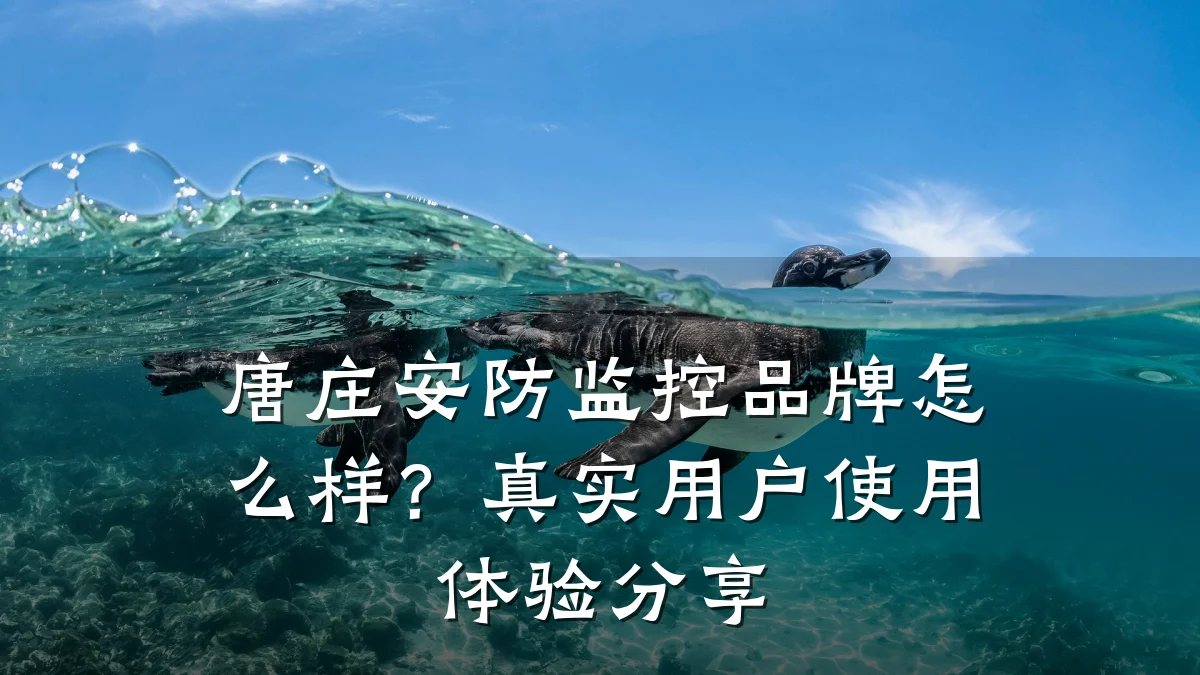 唐庄安防监控品牌怎么样？真实用户使用体验分享