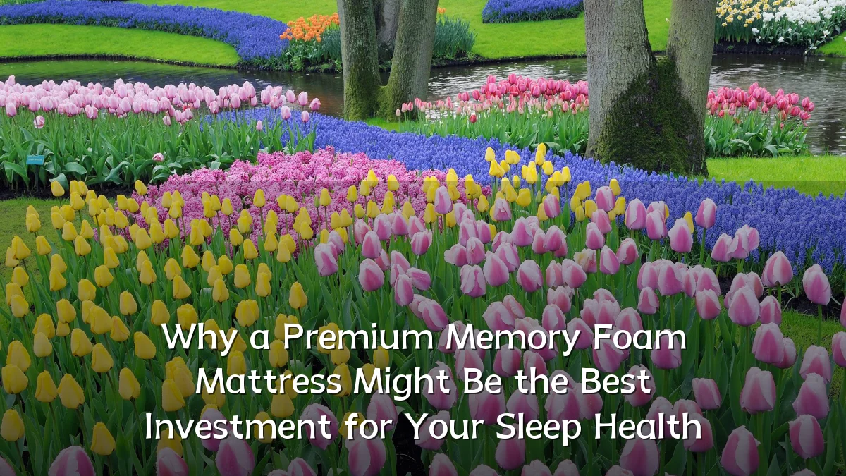 Why a Premium Memory Foam Mattress Might Be the Best Investment for Your Sleep Health