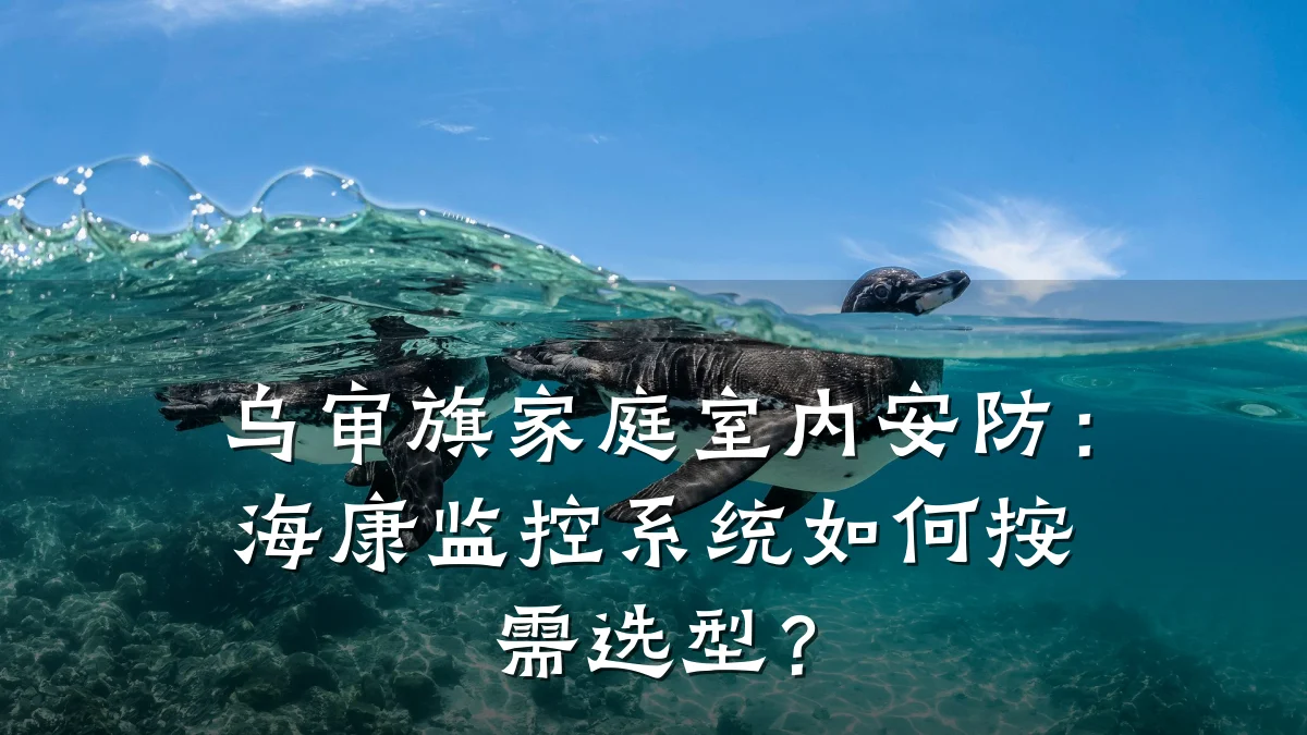 乌审旗家庭室内安防:海康监控系统如何按需选型?