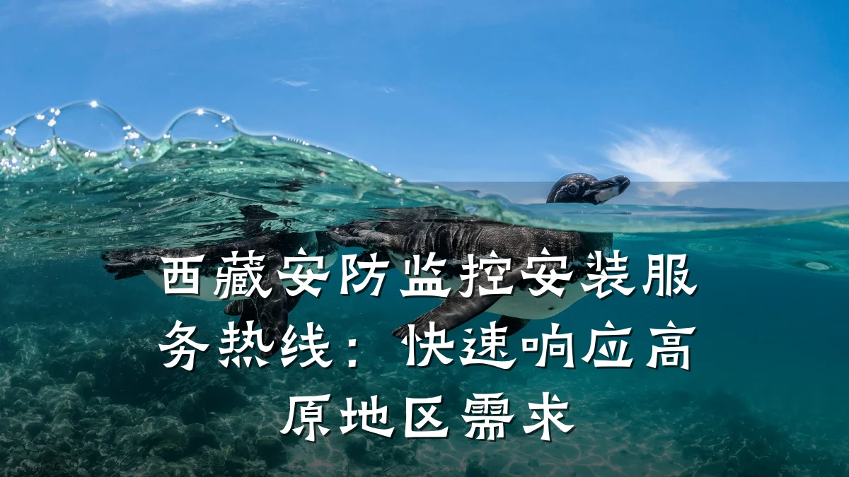 西藏安防监控安装服务热线：快速响应高原地区需求