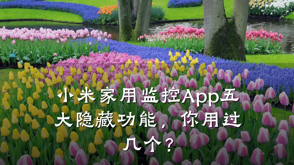 小米家用监控App五大隐藏功能,你用过几个?