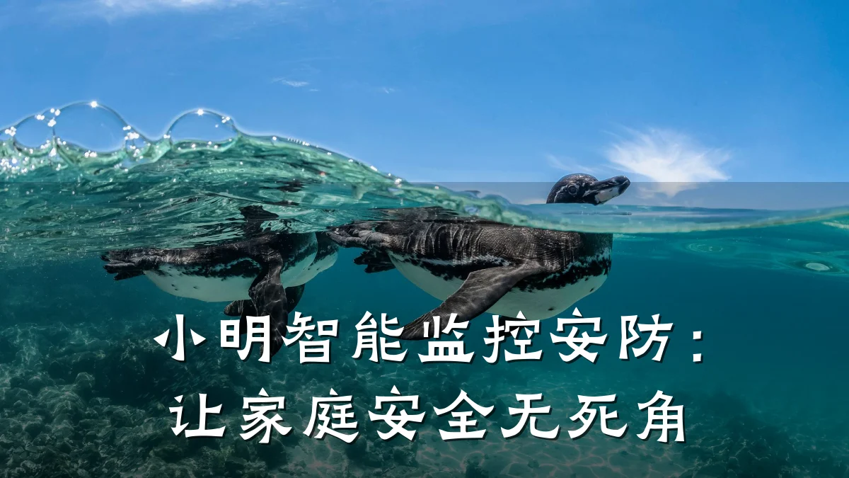小明智能监控安防:让家庭安全无死角