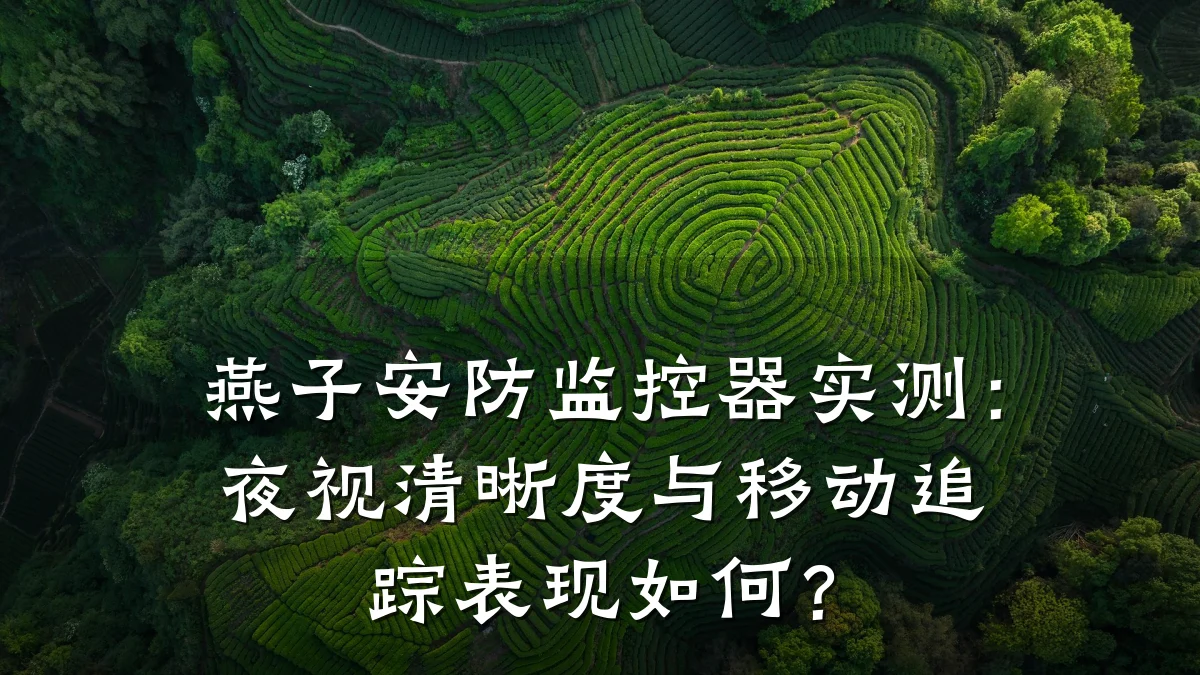 燕子安防监控器实测:夜视清晰度与移动追踪表现如何?