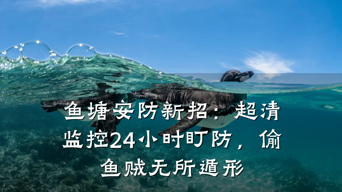 鱼塘安防新招:超清监控24小时盯防,偷鱼贼无所遁形