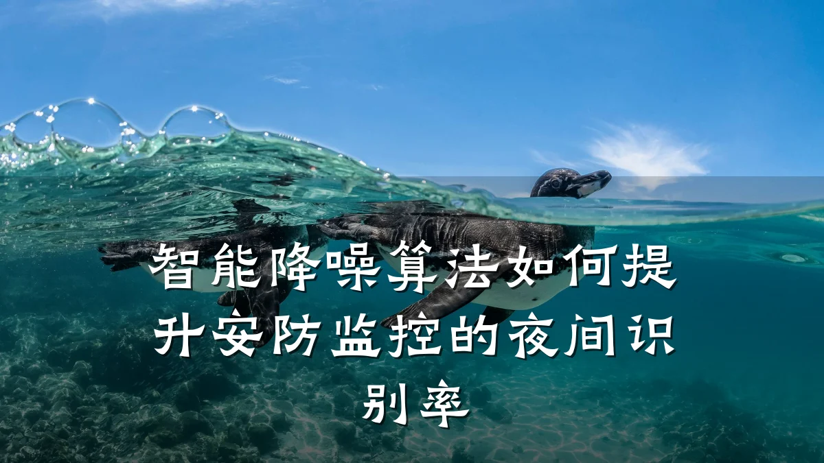 智能降噪算法如何提升安防监控的夜间识别率