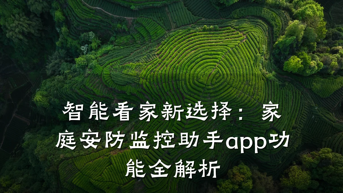 智能看家新选择：家庭安防监控助手app功能全解析