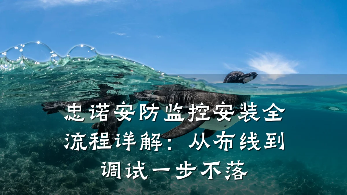 忠诺安防监控安装全流程详解:从布线到调试一步不落
