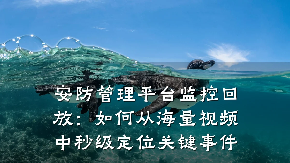 安防管理平台监控回放:如何从海量视频中秒级定位关键事件