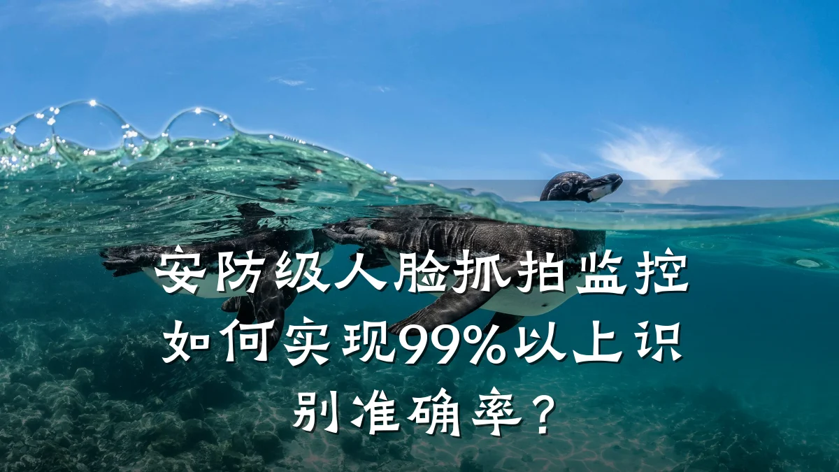 安防级人脸抓拍监控如何实现99%以上识别准确率?