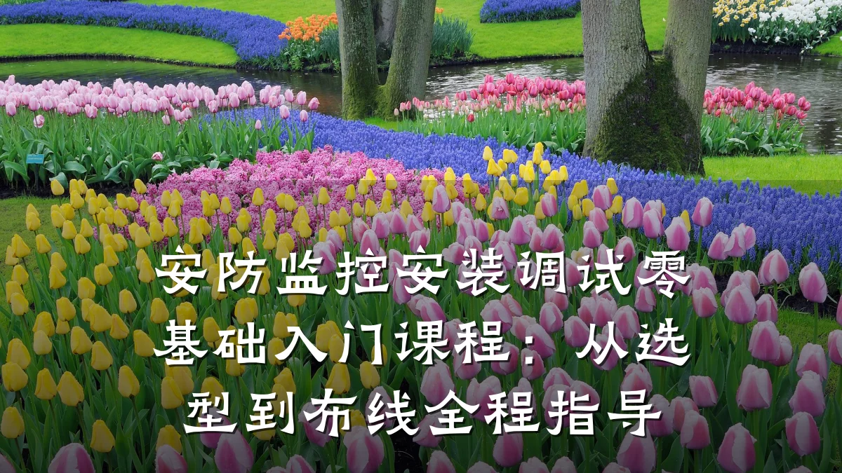 安防监控安装调试零基础入门课程：从选型到布线全程指导
