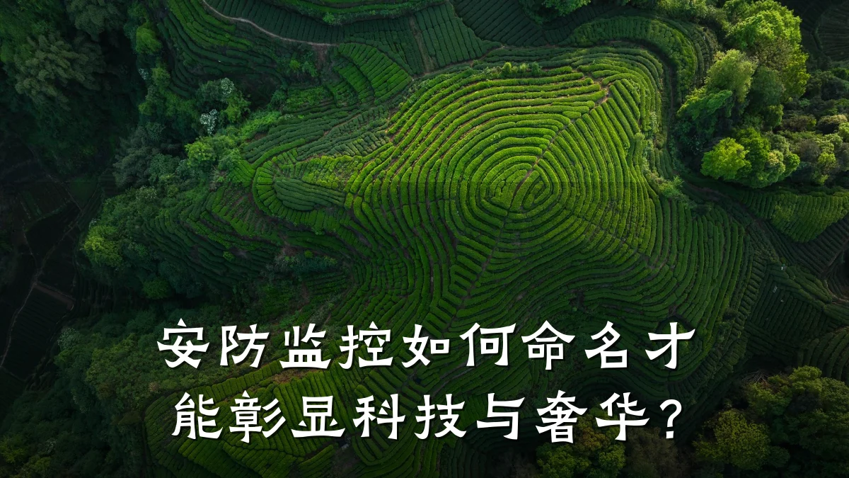 安防监控如何命名才能彰显科技与奢华?