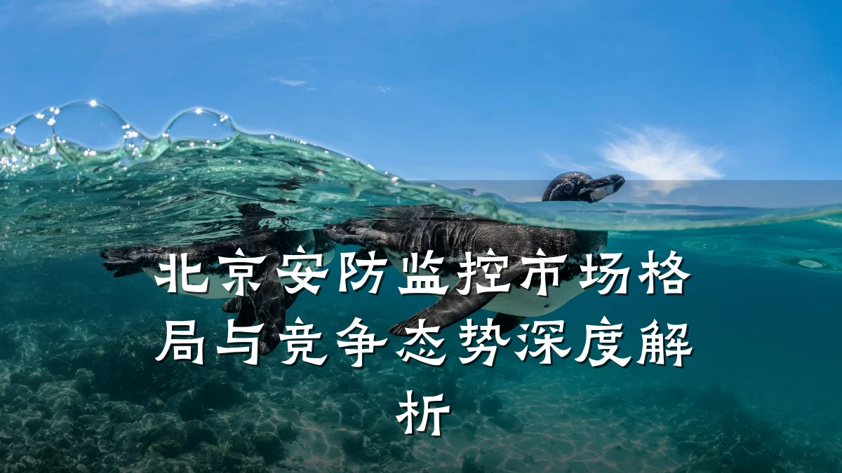 北京安防监控市场格局与竞争态势深度解析