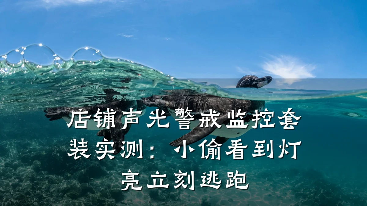 店铺声光警戒监控套装实测:小偷看到灯亮立刻逃跑