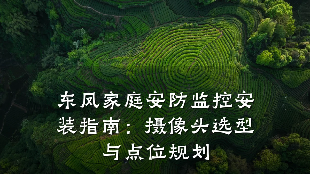 东凤家庭安防监控安装指南:摄像头选型与点位规划