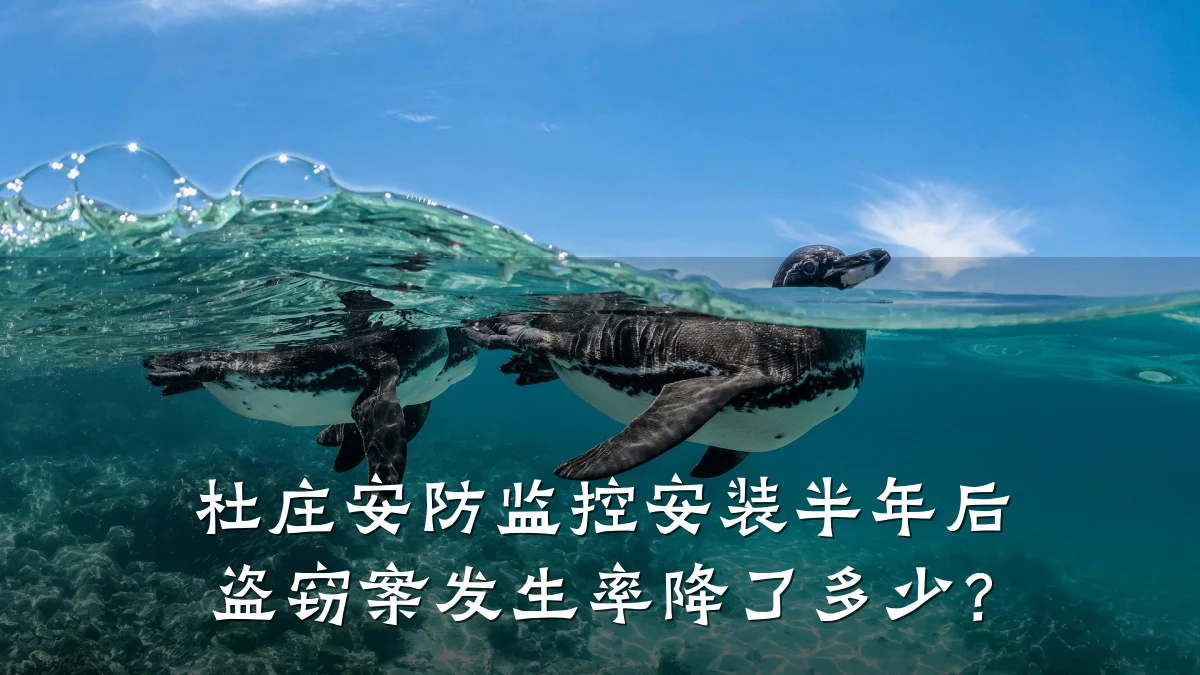杜庄安防监控安装半年后 盗窃案发生率降了多少?