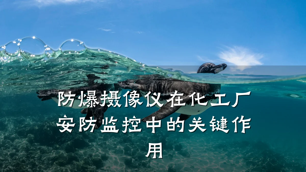 防爆摄像仪在化工厂安防监控中的关键作用