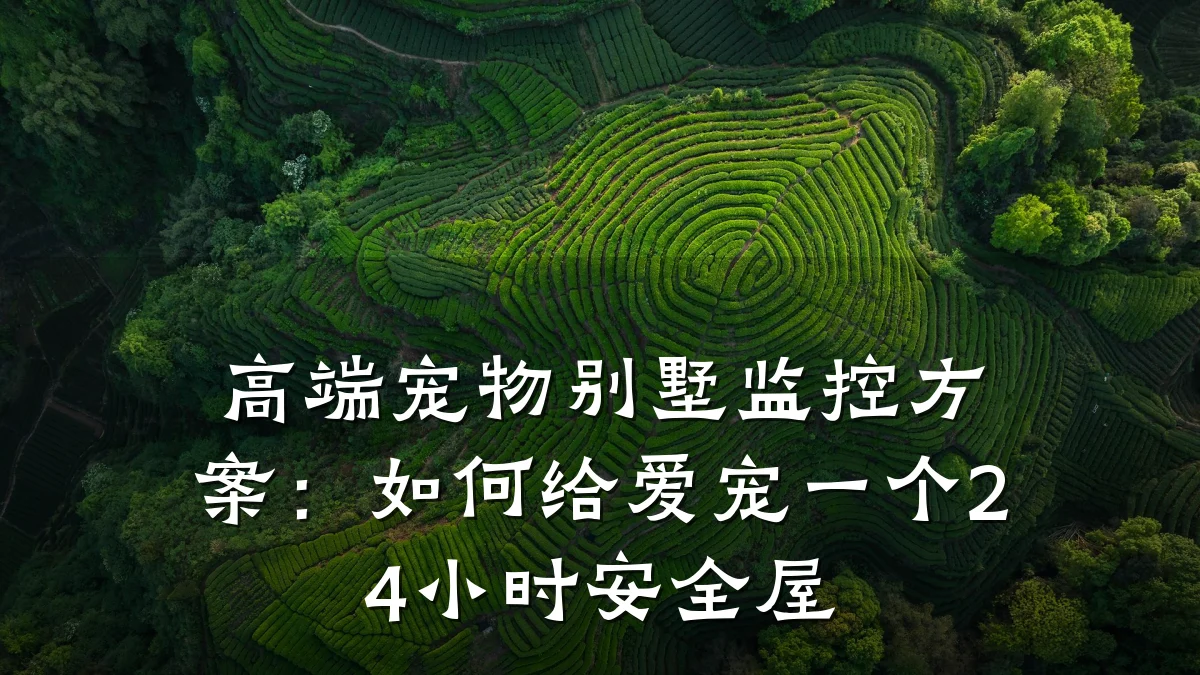 高端宠物别墅监控方案:如何给爱宠一个24小时安全屋