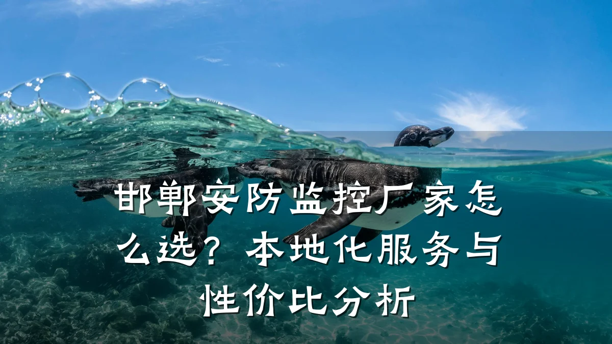 邯郸安防监控厂家怎么选?本地化服务与性价比分析