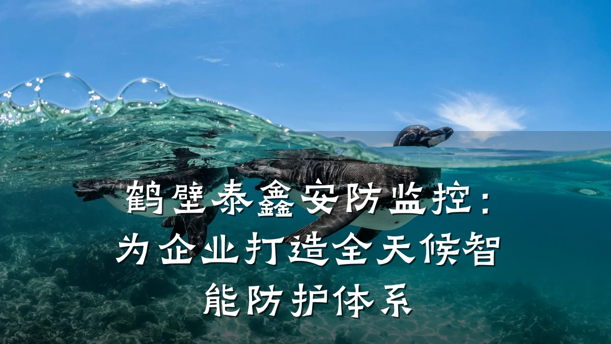 鹤壁泰鑫安防监控:为企业打造全天候智能防护体系