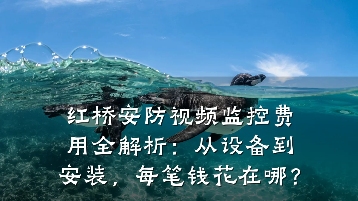 红桥安防视频监控费用全解析:从设备到安装,每笔钱花在哪?