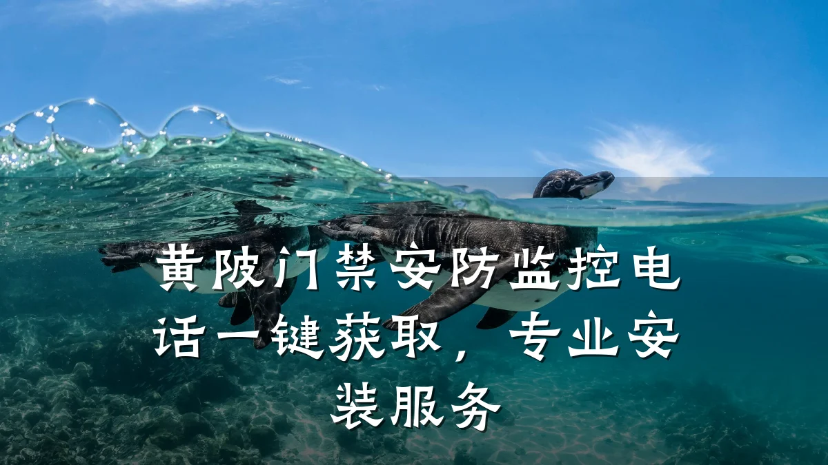 黄陂门禁安防监控电话一键获取,专业安装服务