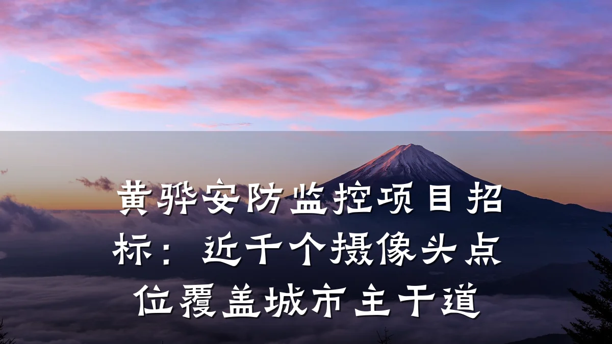黄骅安防监控项目招标:近千个摄像头点位覆盖城市主干道