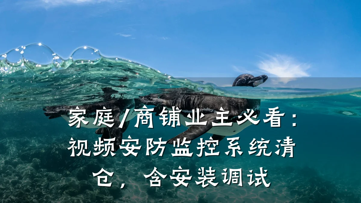 家庭/商铺业主必看:视频安防监控系统清仓,含安装调试