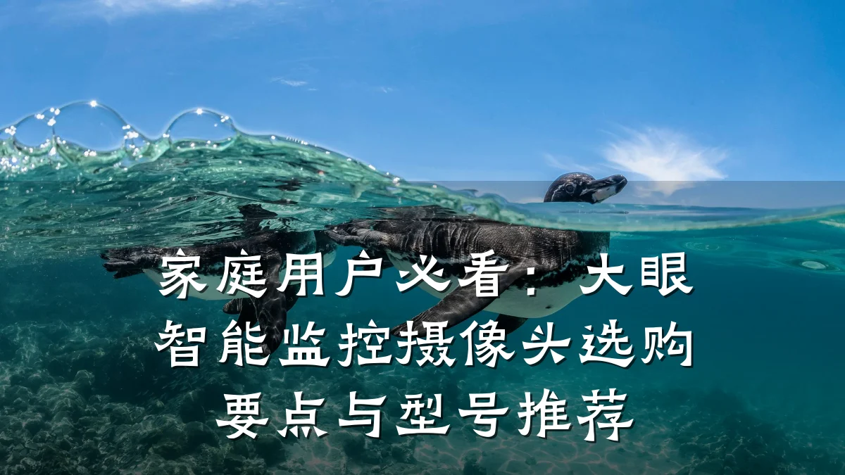 家庭用户必看:大眼智能监控摄像头选购要点与型号推荐