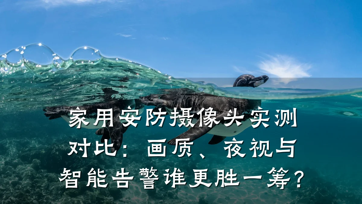 家用安防摄像头实测对比:画质、夜视与智能告警谁更胜一筹?